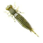 Năluca soft Fanatik Larva 1.6 inch culoare 001