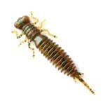 Năluca soft Fanatik Larva 1.6 inch culoare 004