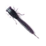 Năluca soft Fanatik X-Larva 4 inch culoare 007