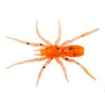 Năluca soft Perchik Tiny Spider 1.1" 2.8cm 02