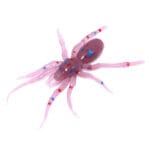 Năluca soft Perchik Tiny Spider 1.1" 2.8cm 41