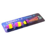 Mandula Lucky Fish Classic 4" #107