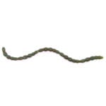 Năluca soft Perchik Blood Worm 1" 2,5cm culoare 22