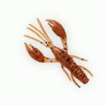 Năluca soft Fanatik Raider 2.2 inchi culoare 002