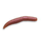 Năluca soft Crazy Fish Mf Baby Worm 50mm culoare 52 Shrimp+Squid