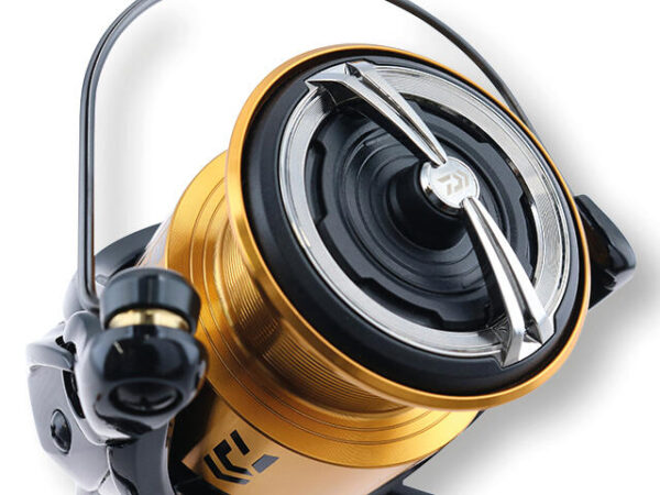 Mulineta crap Daiwa Gs BR LT 3000 - imagine 3