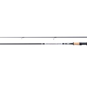 Lanseta spinning Jaxon INTENSA GTX IMPULSE SPINNING 210 10–30 g