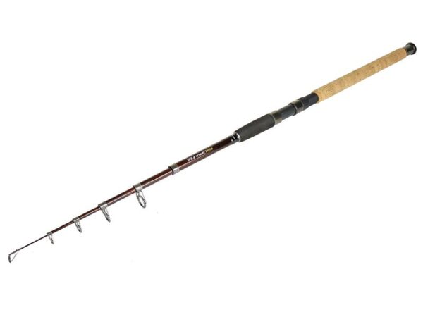 Lansetă staționar Formax THUNDER TELE 3,60 m 50-100 g