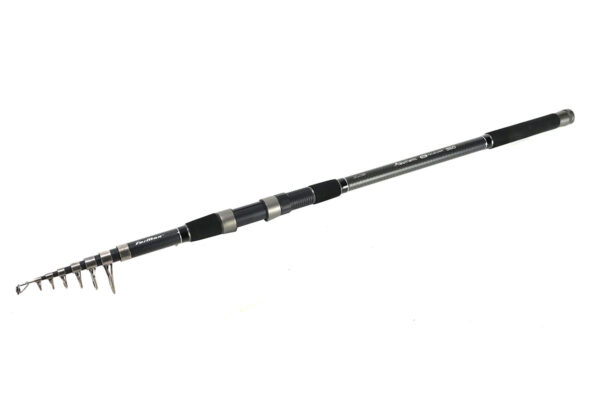 Lansetă de crap Formax AESTHETIC NG TELECARP 3,00 m 3 lb