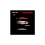 Vobler APIA PUNCH LINE 60 5gr 60mm 05 Clear Bora