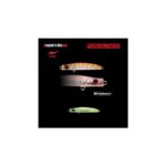 Vobler APIA PUNCH LINE 45 3gr 45mm 11 Clear Chart glitter