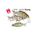 Vobler SWIMBAIT HERAKLES REAL SHAD S 10.5cm 25gr GREEN AYU