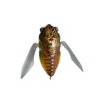 Vobler MEGABASS GRAN SIGLETT 42.5mm 7gr HIGURASHI