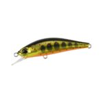 Vobler DUO SPEARHEAD RYUKI 50S TAKUMI 5cm 4gr MCC4084 Gold Yamame
