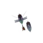 Vobler DUO REALIS SHINMUSHI 4.0cm 5.7gr CCC3201 Tsukutsukuhoushi