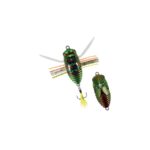 Vobler DUO REALIS KOSHINMUSHI 3.0cm 3.1gr CCC3218 Kinkame
